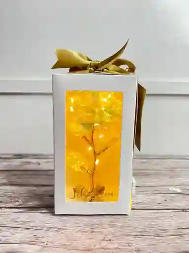 Caja De Luz Con Rosa Eterna Tornasol