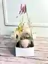 Caja Floral Con Vaso De Fresas Con Chocolate - Especial Día De La Mujer