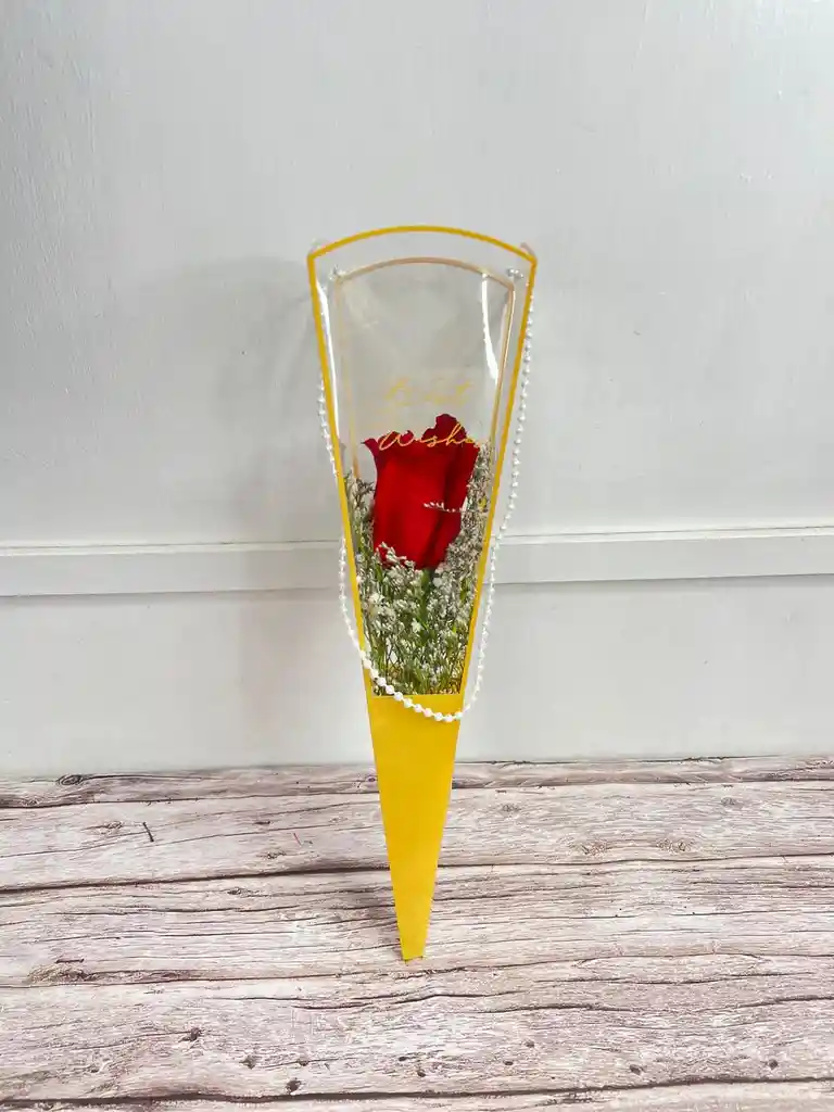 Solitario Cono De Acetato Con Rosa Natural