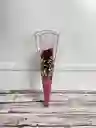 Solitario Cono De Acetato Con Rosa Natural