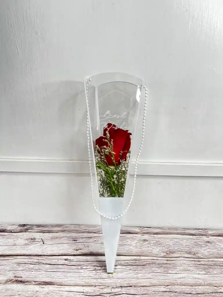 Solitario Cono De Acetato Con Rosa Natural