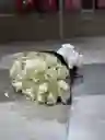 Bouquet Blanco
