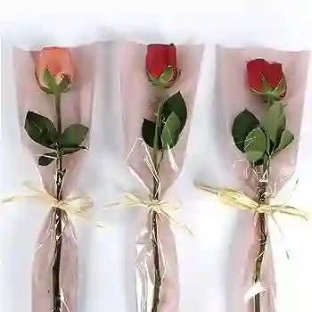 Solitario De Rosas