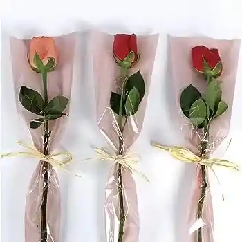 Solitario De Rosas
