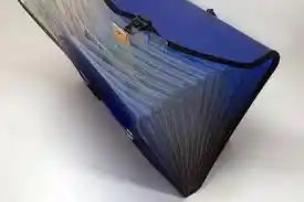 Carpeta Archivadora 13 Bolsillos Carta