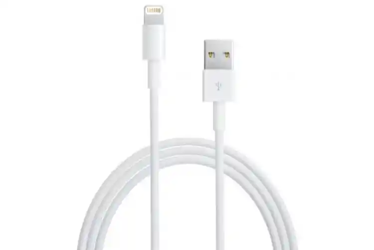 Cable Carga Rápida Iphone Lightning A Usb Original (1m)