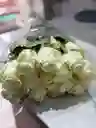 Rosa Blanca De Exportacion