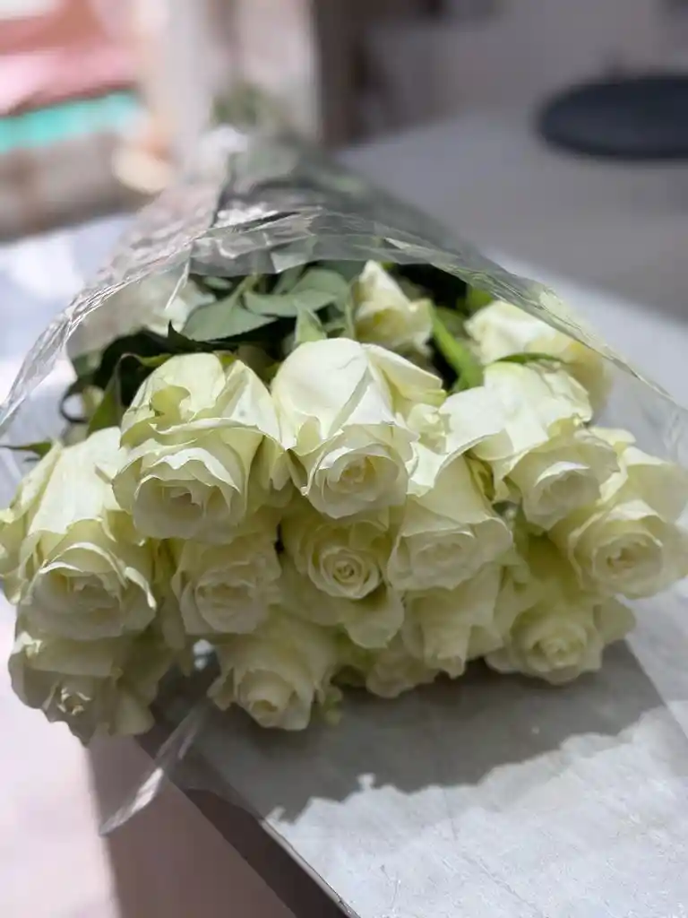 Rosa Blanca De Exportacion