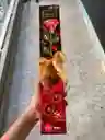 Chocolates En Empaque