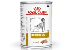 Royal Canin Lata Perro X385gr