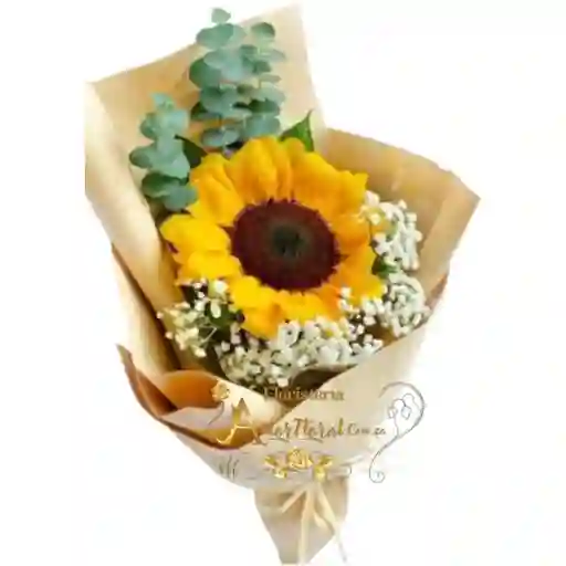 Girasol