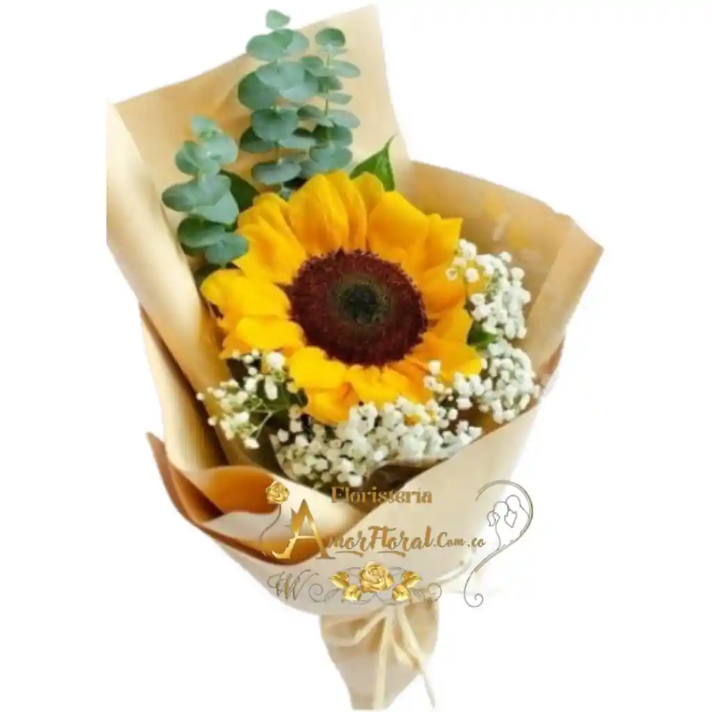 Girasol