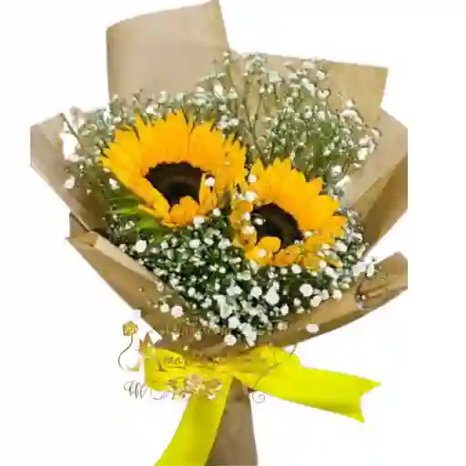 Girasoles Cali