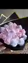 Rosas, Chocolates, Arreglos Florales, Día De La Mujer, Regalos Para Mujer, Cumpleaños, Detalles, Anchetas, Rosas Eternas