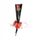 Solitario De Rosa De Color