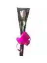 Solitario De Rosa De Color