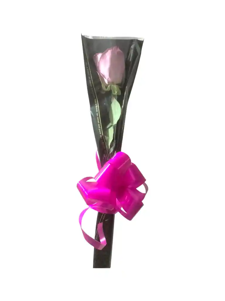 Solitario De Rosa De Color