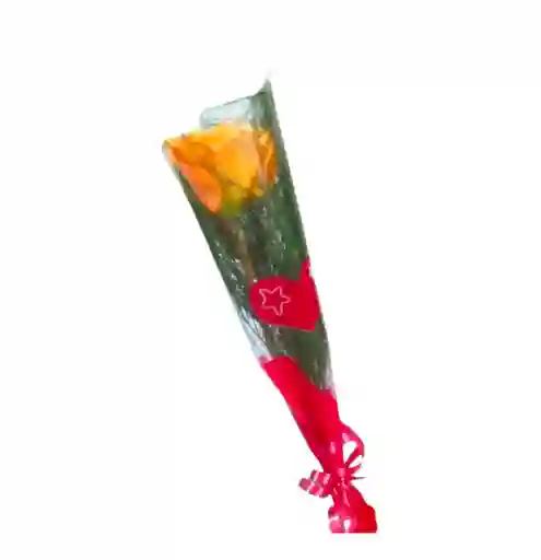 Solitario De Rosa De Color