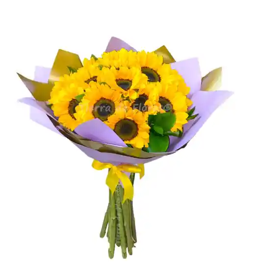 Ramillete De 10 Girasol Mama