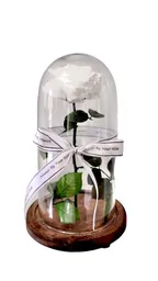 Rosa Preservada Blanca En Urna De Cristal.