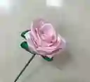 Feliz Día De La Madre Solitario Rosa Rosada Con Chocolate