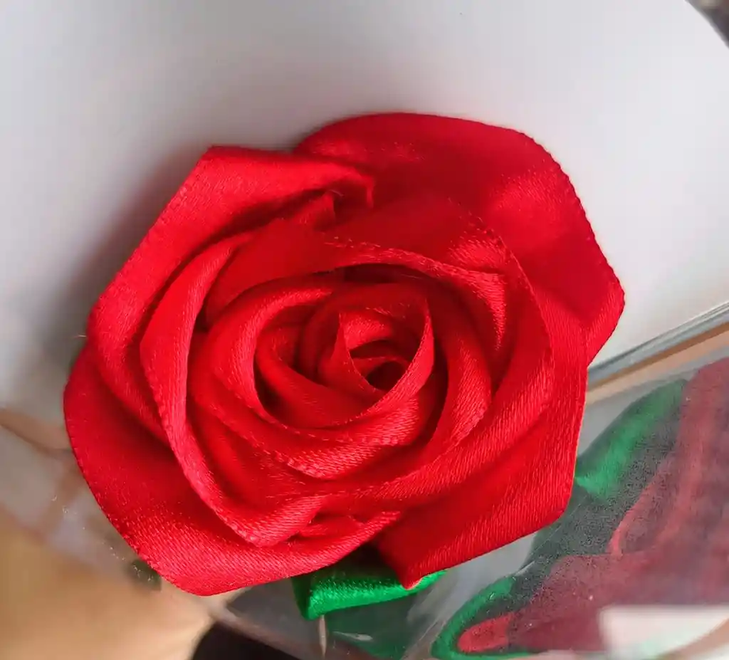 Feliz Día Solitario Rosa Roja Con Chocolate De Animalito