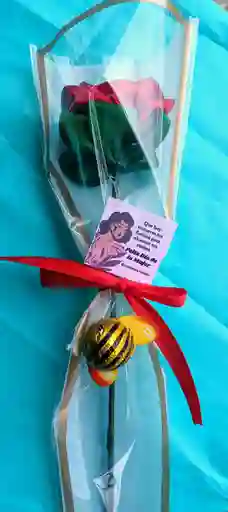 Feliz Día Solitario Rosa Roja Con Chocolate De Animalito