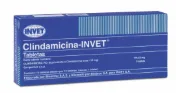 Clindamicina Invet – Blíster X 10 Comprimidos