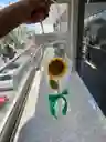 Girasol Eterno