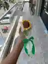 Girasol Eterno