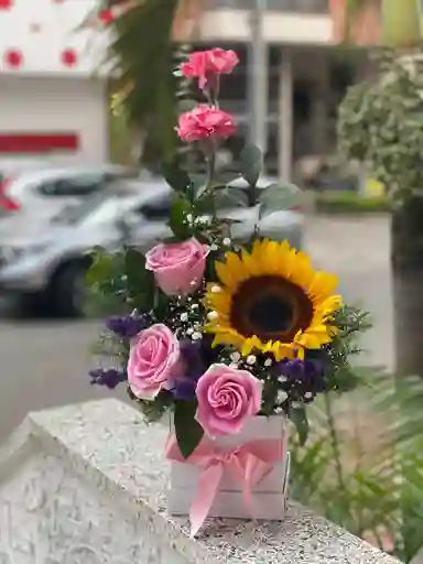 Cariñoso