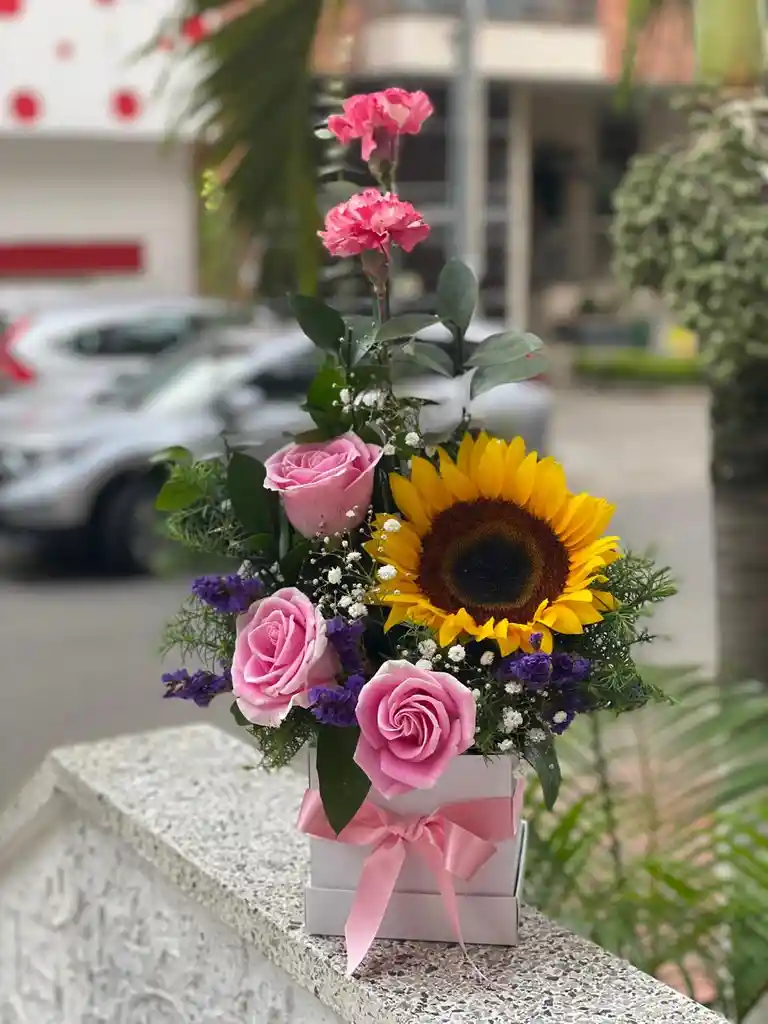 Cariñoso