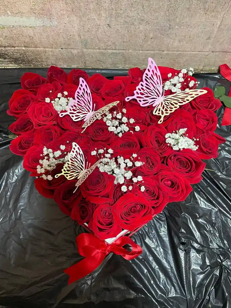 Corazon Magico