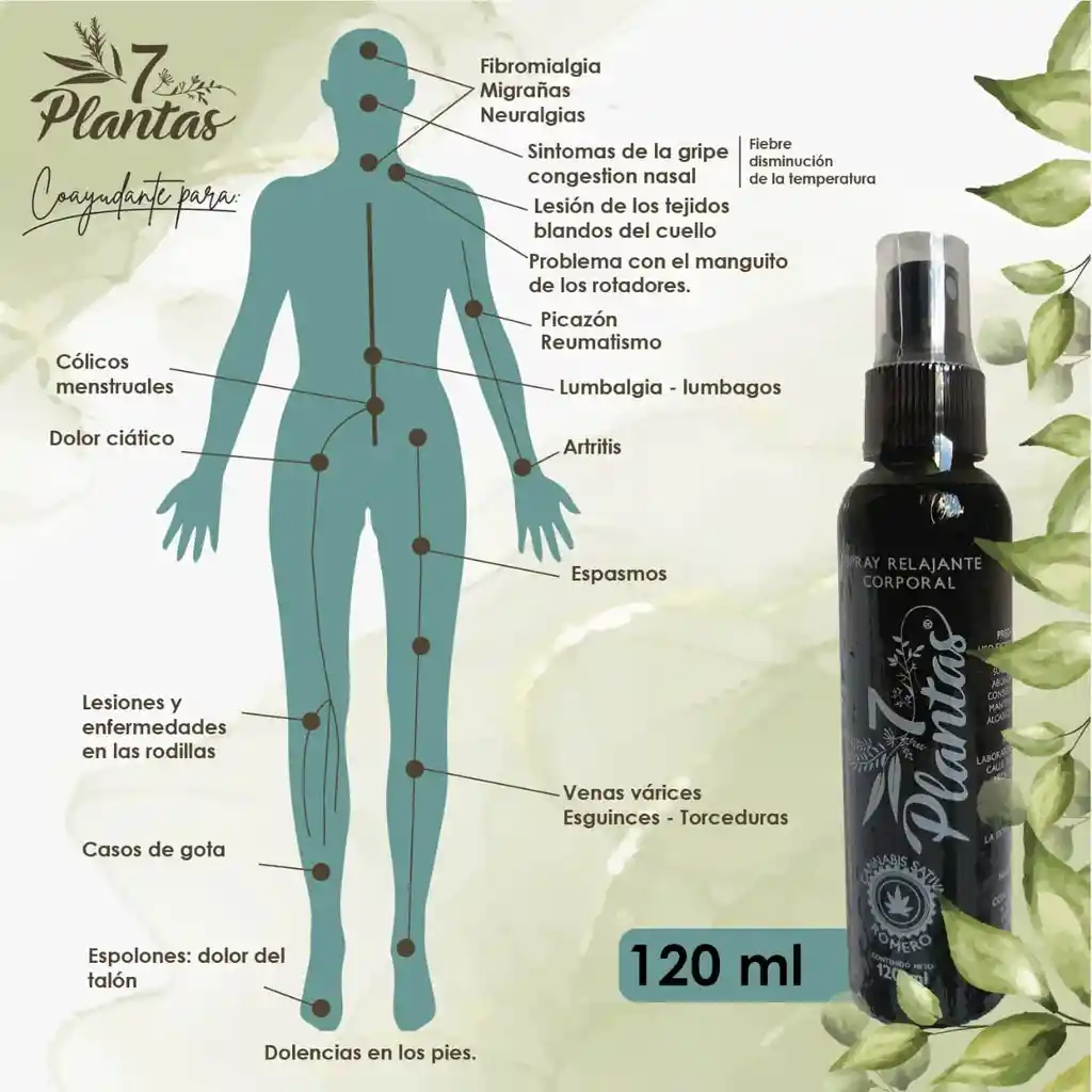 7 Plantas Para Alivio Del Dolor