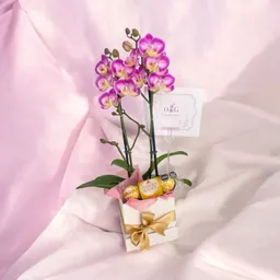 Mini Gift Dia De La Mujer