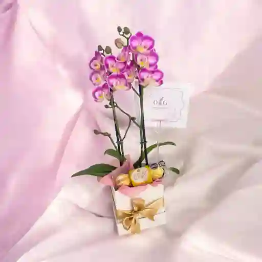 Orquidea Mini Gift Box S