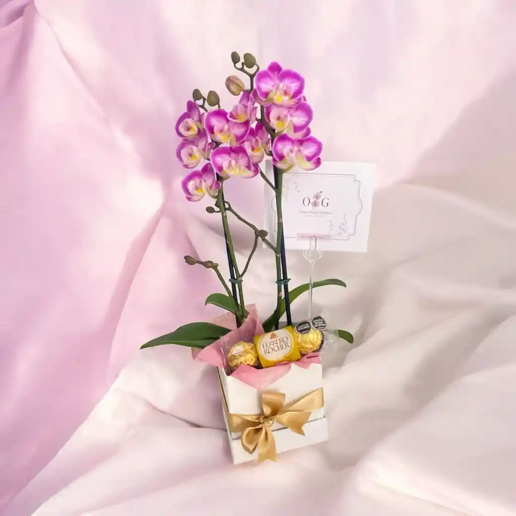 Orquidea Mini Gift Box S