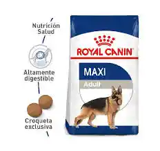 Royal Canin Perro Maxi Adulto X 4kg