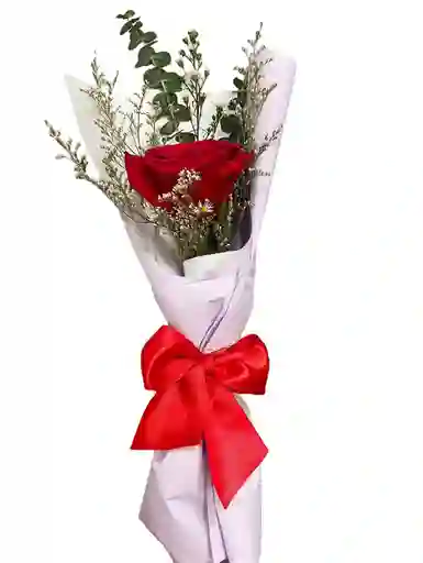 Rosa Especial