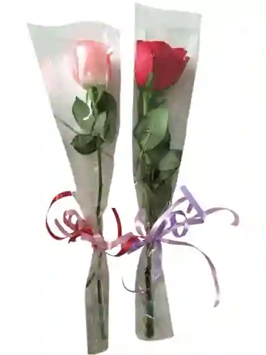 Rosa Unidad