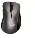 Mouse Genius Ergonómico Inalambrico Silencioso 8100s Champan