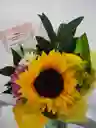 Girasol