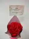 Rosa Roja Eterna