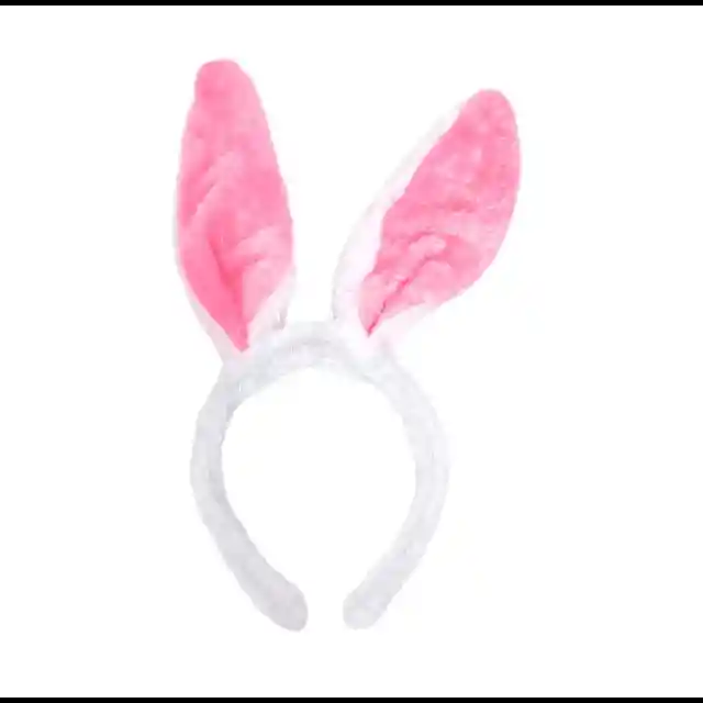 Orejas Conejo Oreja Coneja