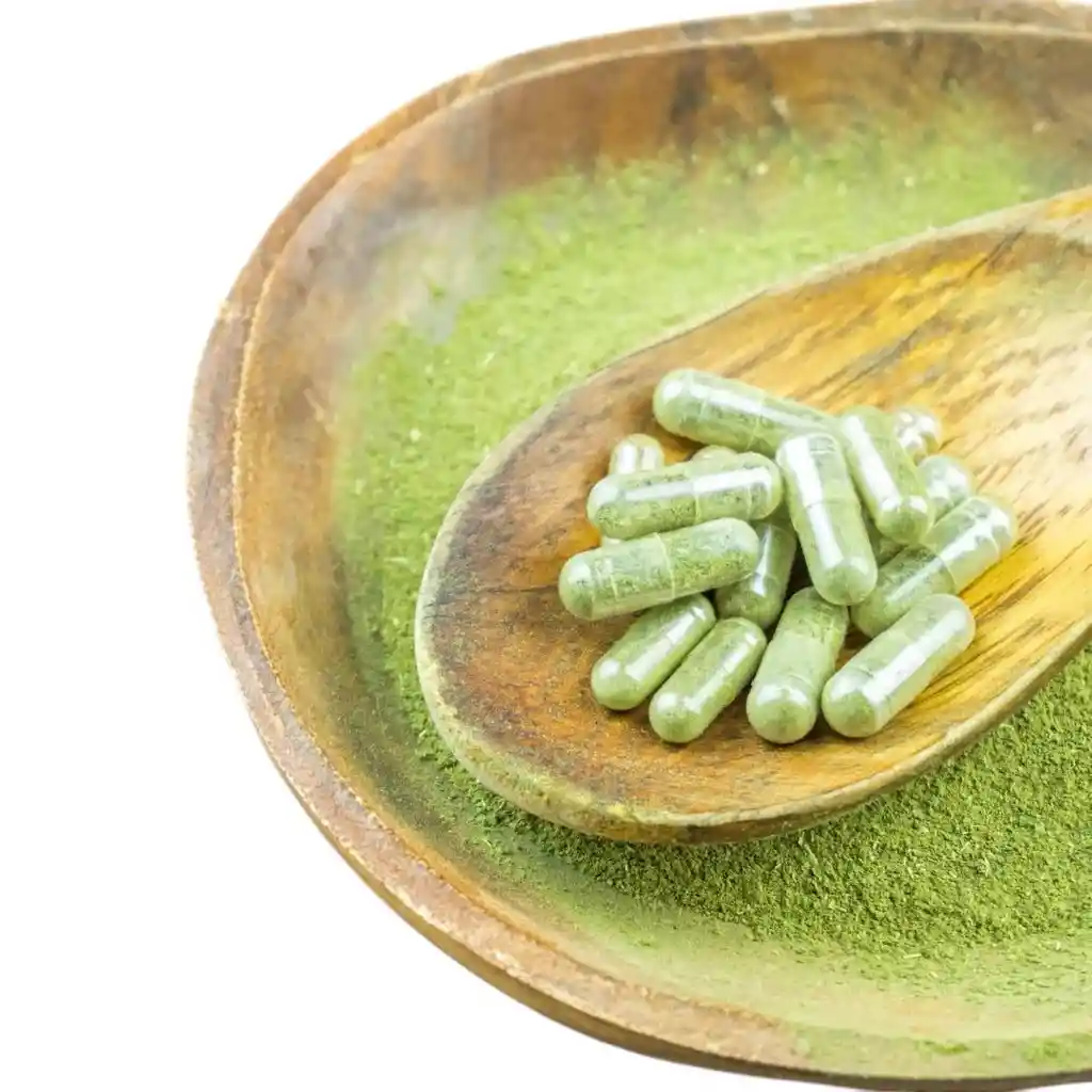 Kratom | Paint Out | Usa | 144 Capsulas