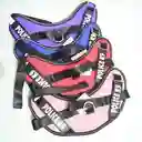 Pechera Police Talla Xl