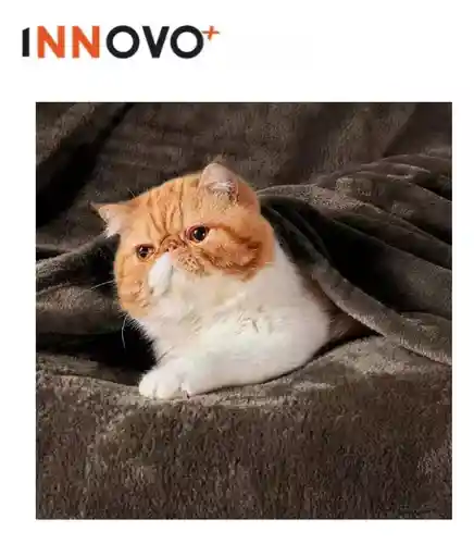 Cobija Manta Térmica Suave Piel Durazno 180 X 240 Cafe Liviana