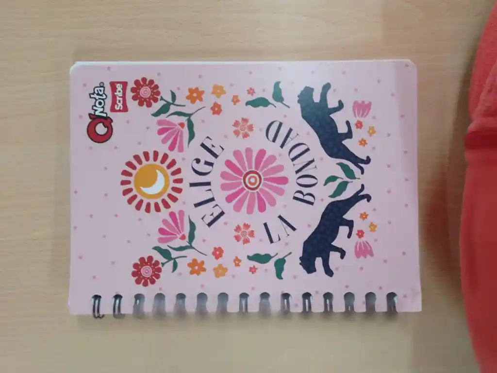Cuaderno Cuadriculado 100 Hojas Argollado