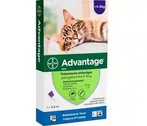 Advantage Gatos De 4 A 8kg