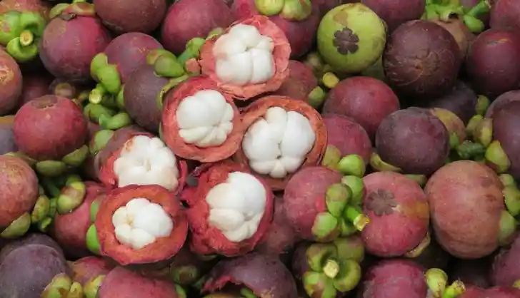 Mangostino